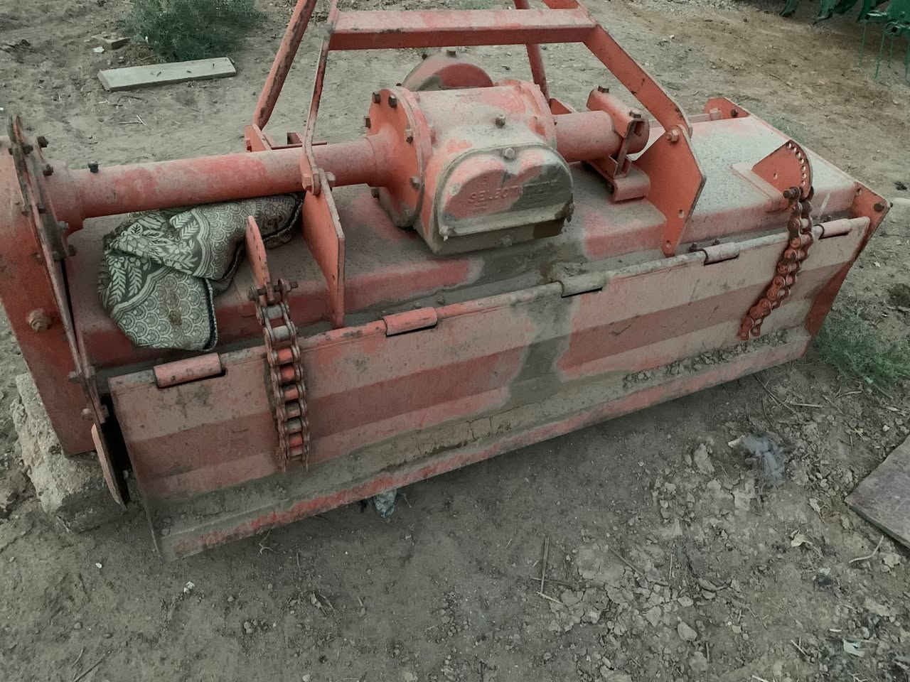 رفاس • انگليزي • زنجيل