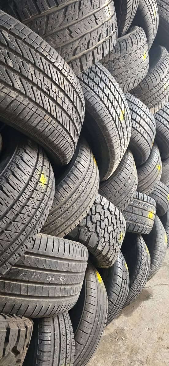 جملة فقط • مقاس ١٧-٢٢ • ١٠٠ زوج