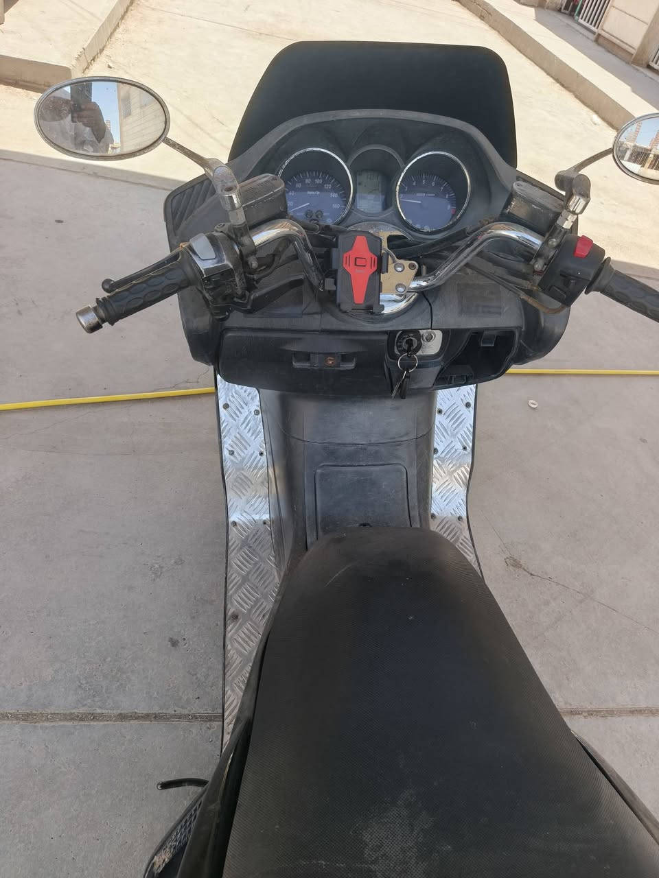 ماجستا • جاهزه • بدوننقص