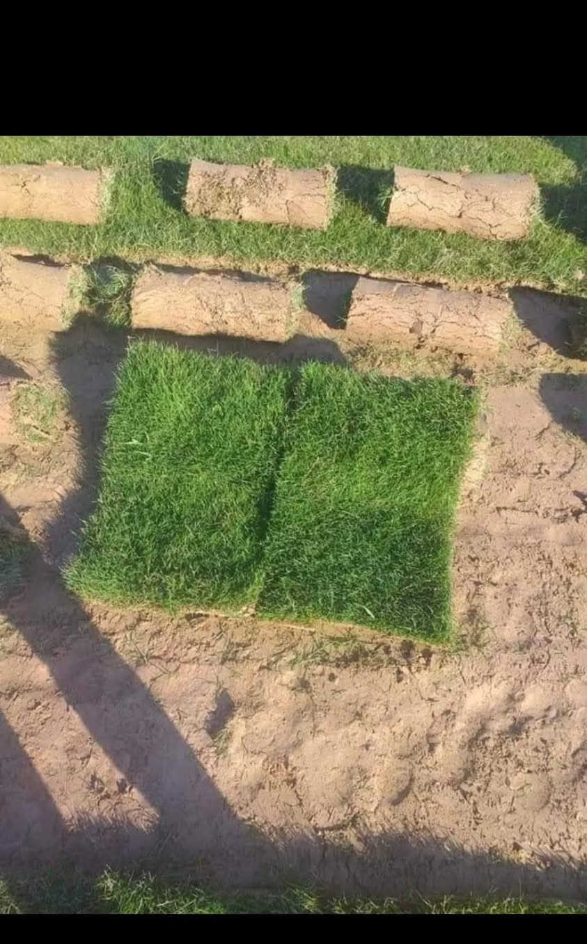 🌳 ثيل طبيعي من أجود الأنواع.. خضرة تدوم وأناقة تبهج! 🌳
مناسب للاستخدام في:
🏡 المنازل | 🌿 الحدائق | ⚽ الملاعب | 🏢 الدوائر | 🏗️ المشاريع الاستثمارية

🟢 أنواع متوفرة لدينا:
فرنسي – إيطالي – أمريكي – هندي – إسباني – إنكليزي
💚 نوعيات ممتازة بأسعار مناسبة جداً
📦 وقابل للتفاوض للكميات الكبيرة

✅ تجهيز كميات كبيرة للمشاتل والملاعب
✅ كادر متخصص بالزراعة والتركيب السليم
✅ نوصل لك لباب البيت، بأسرع وقت!

📞 للحجز أو الاستفسار تواصل معنا الآن
***********
***********
#ثيل_طبيعي #خضرة_دائمة #زراعة_ثيل #ملاعب #مشاتل #أسعار_تنافسية
