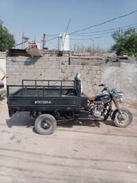 ستوته • ٢٠١٠ • رقم انكليزي