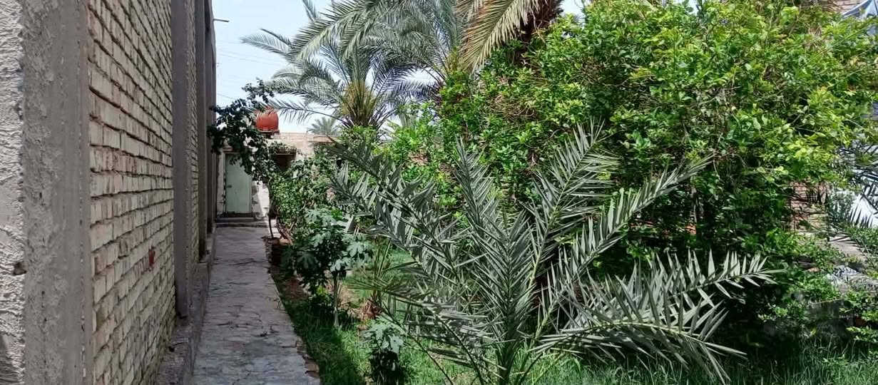 #دار_مع_مزرعه_للبيع 
فرصه مميزه 
تجاريه وسكنيه علا طريق الزوار مباشرتا 
المساحه الكليه :1100
مساحة الدار: 250م
الموقع :طريق السنيه جهة الزوار  علا الشارع مباشرتا 
مواصفات الدار 👇
🛑اساس كونكريت 
🛑بناء طابوق 
🛑 سقف كونكريت مسلح 
🛑غرف عدد 2
🛑صاله 
🛑استقبال واسع جدا 
🛑  صحيات خارجيه وداخليه 
🛑مطبخ 
موصفات المزرعه🏝️ 
 🛑تحتوي علا اشجار حمضيات فرصه استثماريه لاتعوض
🛑ارض خضراء جدا كبيره 
🛑اشجار نخيل من النوعيه الجيده 👍
#قطعة_ارض_مميزه
🛑نوع العقار: طابو زراعي 

وسعره جدا مناسب  ✔️
ــــــــــــــــــــــــــــ
#متابعة__الصفحه_ليصلكم_كل_ماهو_جديد🛑
#نستقبل_جميع_عروضكم
--------------------
للتواصل الاتصال على الرقم 
***********
اوزيارة مكتبنا
مكتب حيدر الطيار للعقار والمقاولات العامة  
الجزائر -شارع المطاعم -مقابل مدرسة حمورابي
--------------------------
