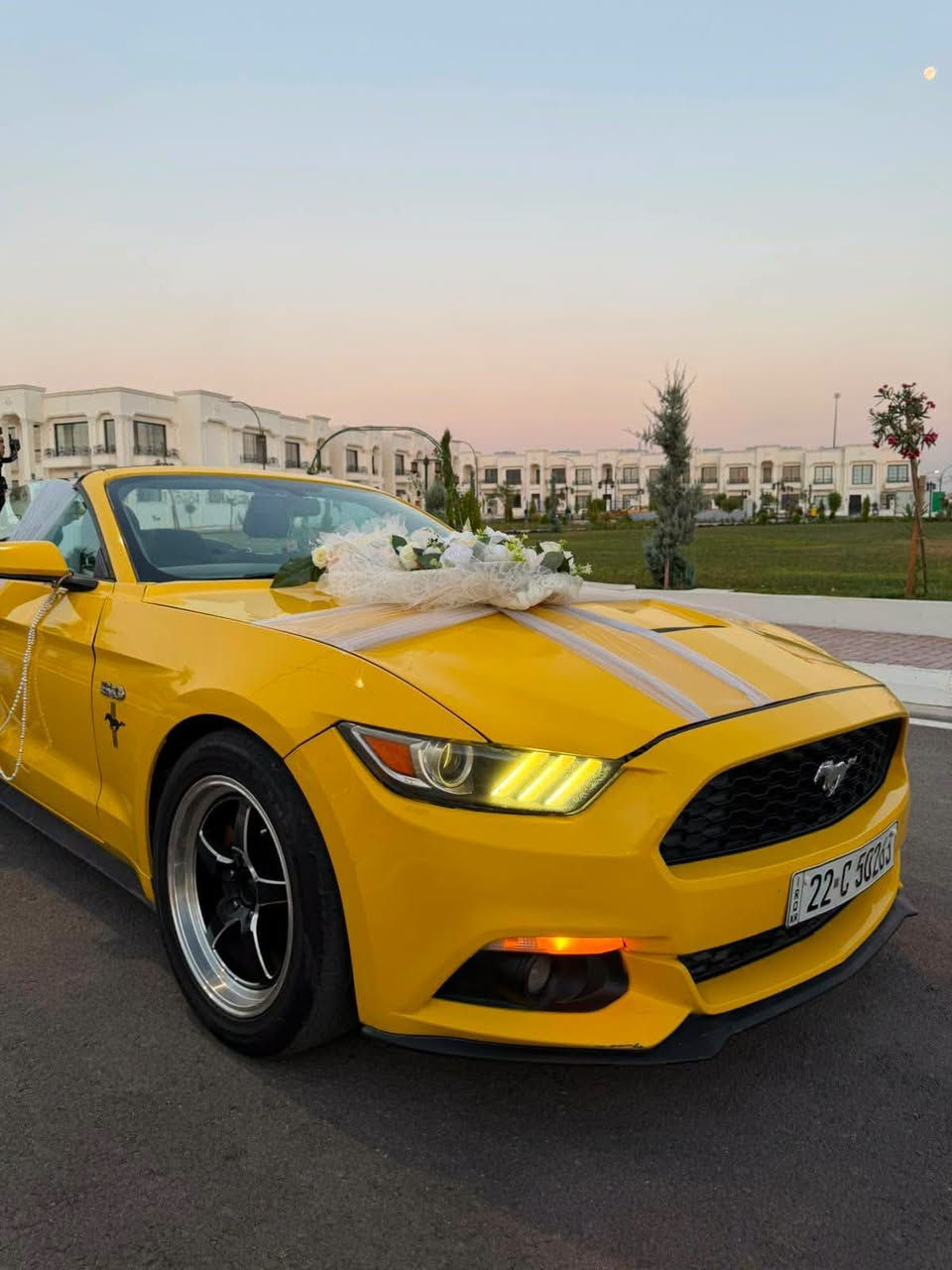 ‎�💥 تزيين السيارة بـ 10,000 دينار فقط! 💥🔥
‎
‎🚘🌸 عرض خاص وحصري من محل تولين لتزيين السيارات 🌸🚘
‎
‎📅 كل يوم  خميس وجمعة
‎✨ زينة أنيقة وتنسيق مميز
‎💰 السعر فقط 10 آلاف دينار!
‎
‎❤️ لا تفوّت العرض…
‎فرحتك أحلى مع تولين �
‎
‎العنوان 
‎حي العسكري الشارع الرئيسي مقابل أسواق نازلي  
‎رقم  الهاتف ***********
