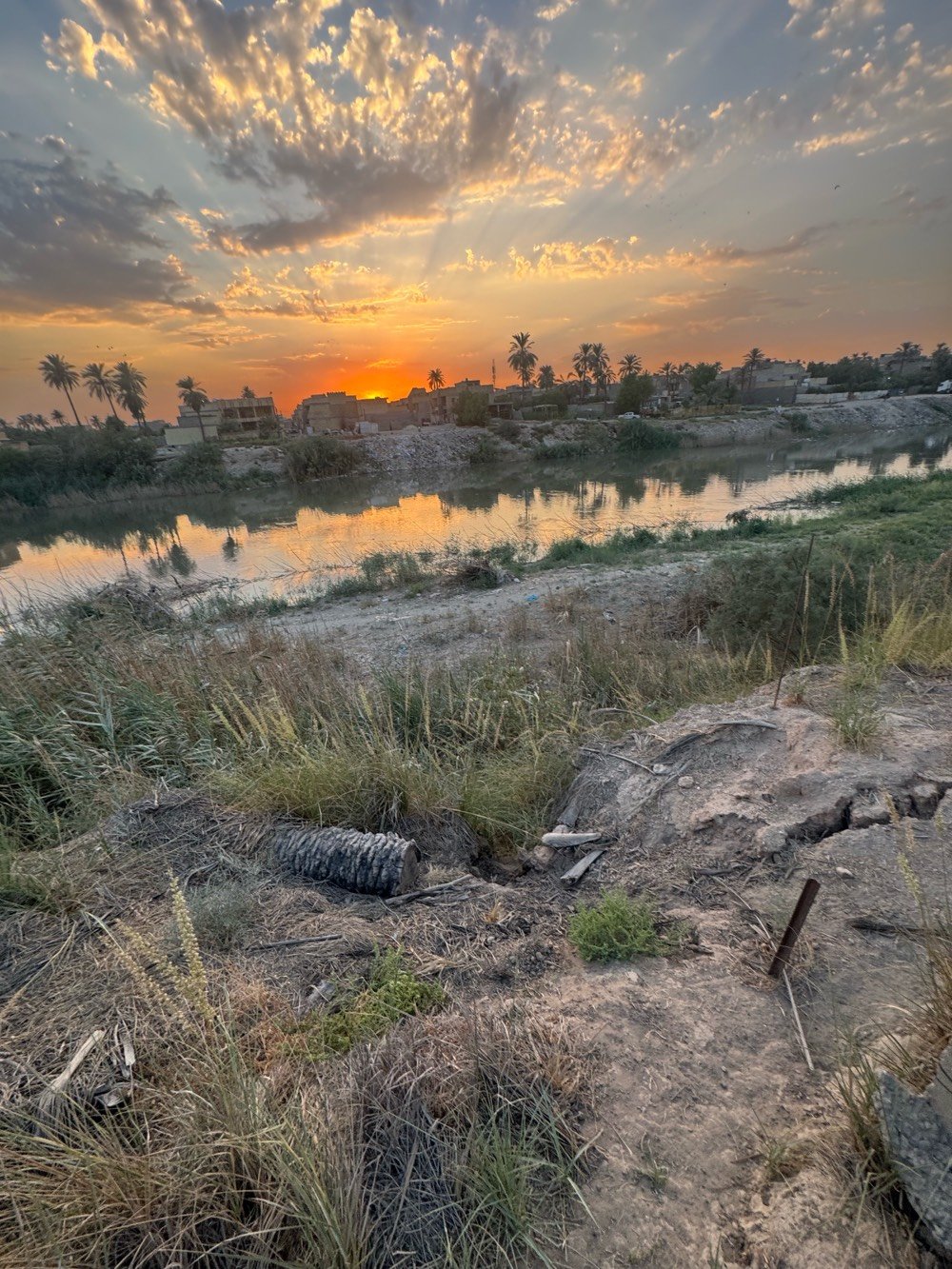 بستان للبيع طابو ملك صرف 
مساحته دونمين واقع حال ( دونم بالسند)
 البستان مطل على نهر ويحتوي على بيت صغير
سعر البيع  ب 425 مليون دينار
مكانه في جسر ديالى ( الكرغولية)
للاستفسار والشراء يراسل خاص