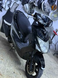 سكنس • ياباني • نقدي