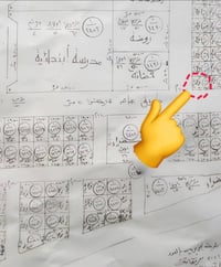 طابو صرف • ٢٥٠م • شارعين ٢٠م