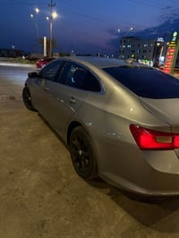 ماليبو امريكي • ٢٠٢٤ • ضرر خلفي