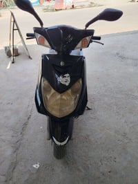 سكنس فحل • عرض خاص