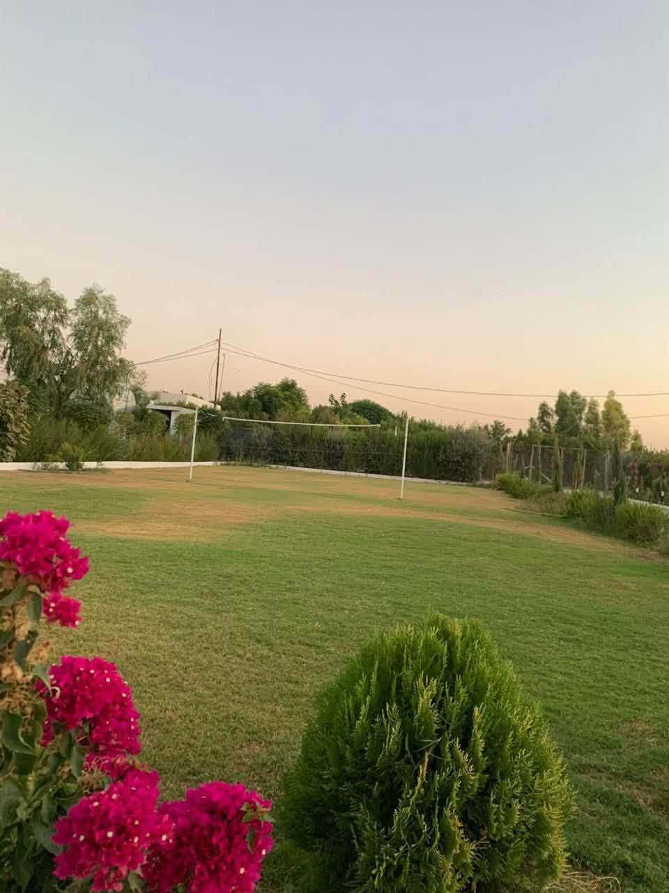 مزرعة • ساقزلي • موثقة