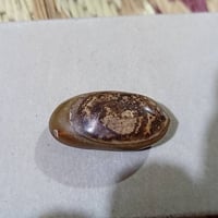 لا توجد تفاصيل