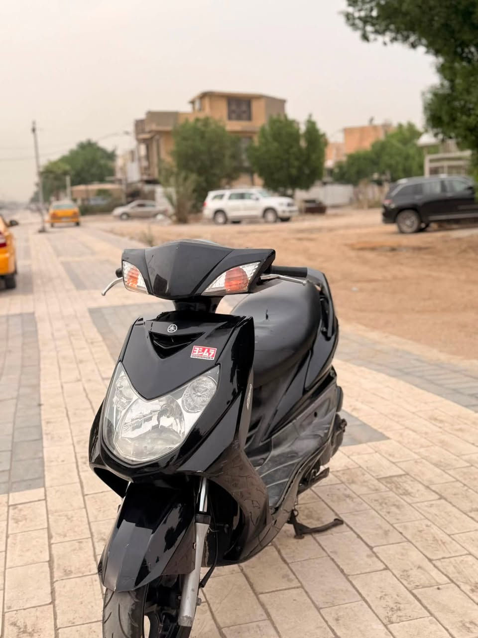 سكنس فحل • ياباني • نفخ