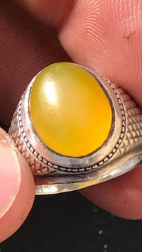 شرف الشمس • يدوية • قياس ٢٠