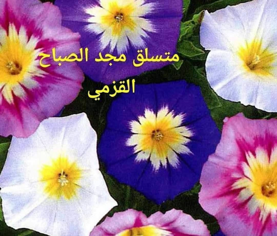 مجد الصباح • بذور وشتلات • السماوه