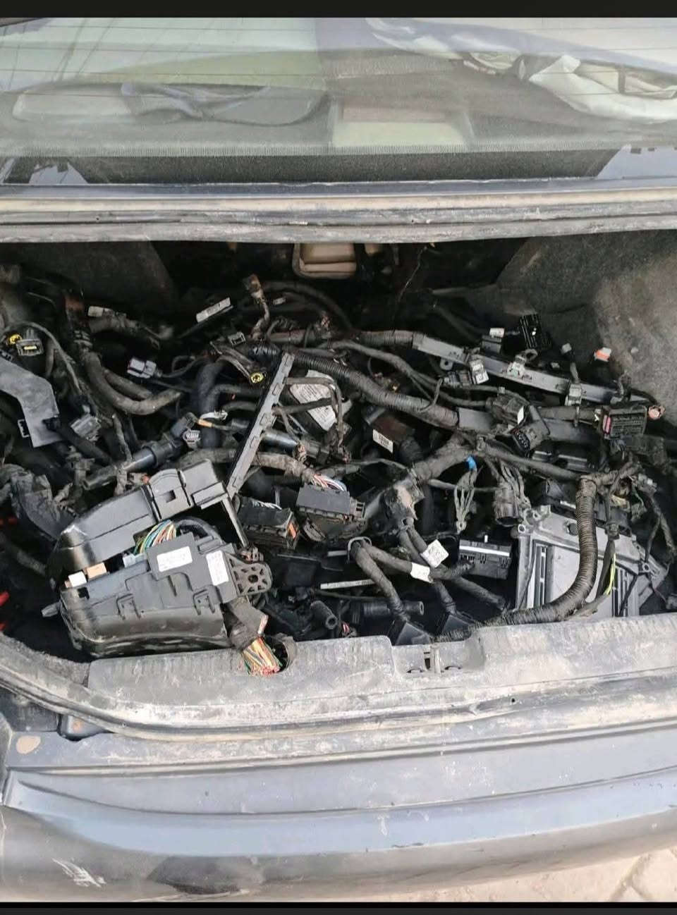 غراض سيارات • كوري • الديوانيه