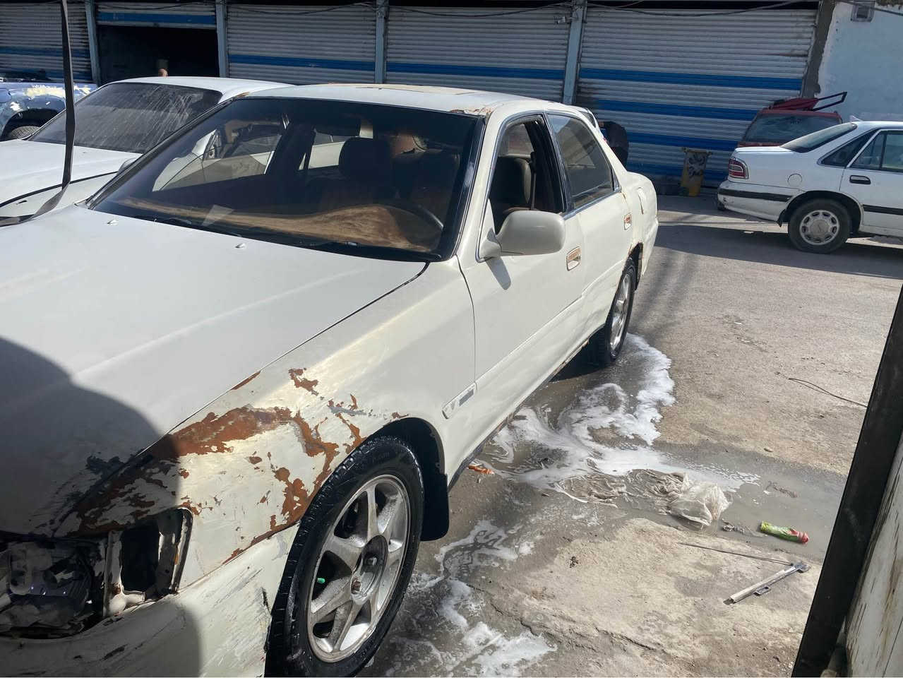 سلام عليكم كرسته الفيني نغل جثه مكينه وكير فيفيتي حداده خير من الله شاشه تبريد عوزه راديتر تبريد فقط كمبريسر شغال بيها طخه مدكر خلفس ومدكر امامي مثل ما موضح ب صوره برانكيت كفاله حت من الخياس سياره خير من الله سعره 27 وترهم مراوس مجال مكاني ابو الخصيب حمدان
سنويه منتهيه ب 20 راعيها شوكت ما يعجبك تحول شرط
*********** البصرة, العراق
