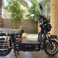 دراجه شحن جبلي • ٦ بطاريات • ٤ سرعات