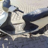 فراشه • شغاله • سلف