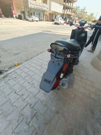 سكنس جبلي • ٢٠١٣