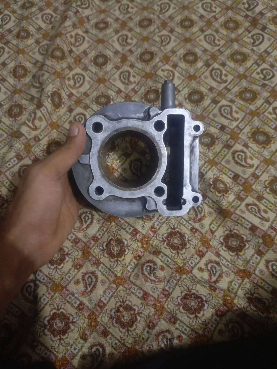 بوشة سكنس • ٥٨٫٥