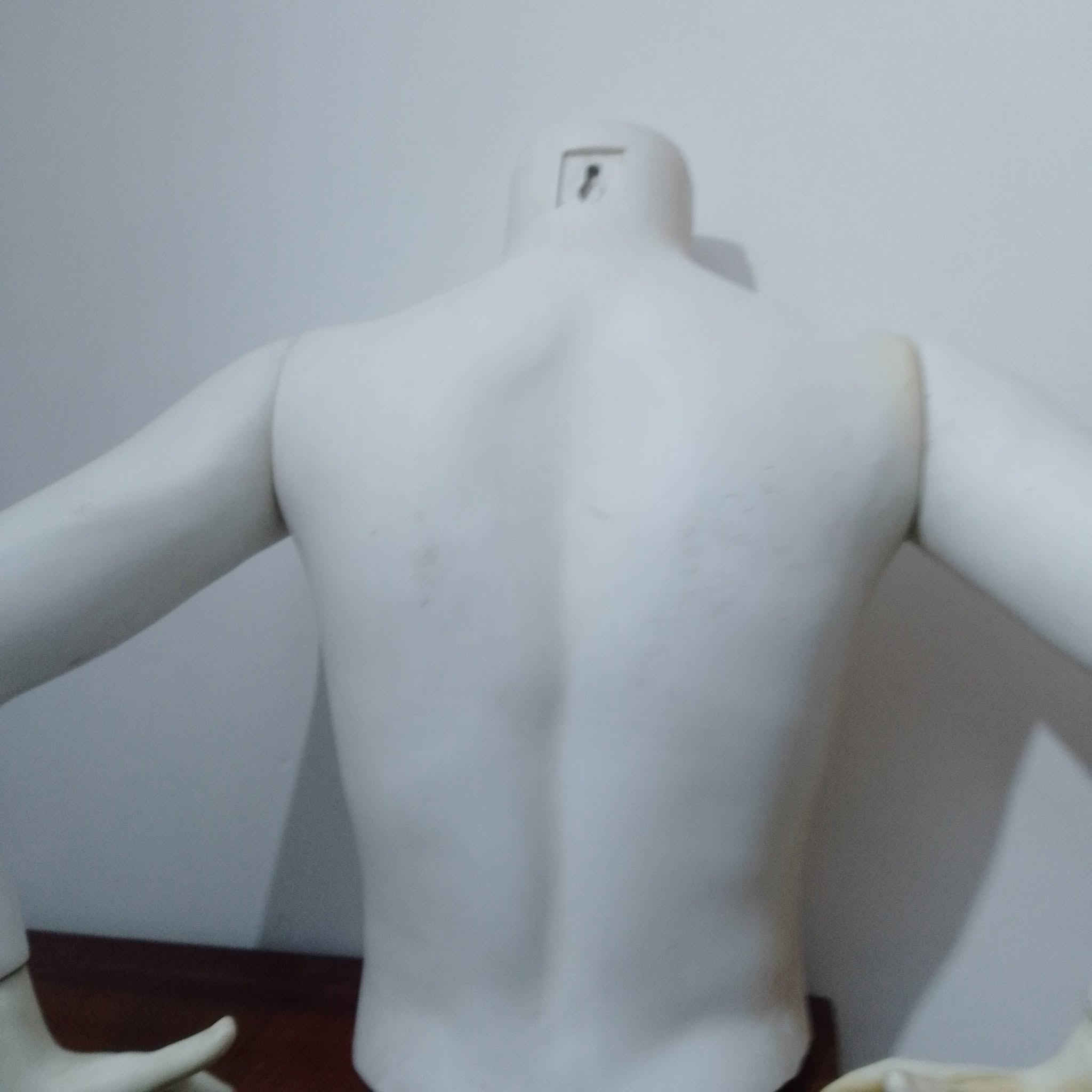 مجسمات • بابل المحاويل • توصيل لجميع المحافظات