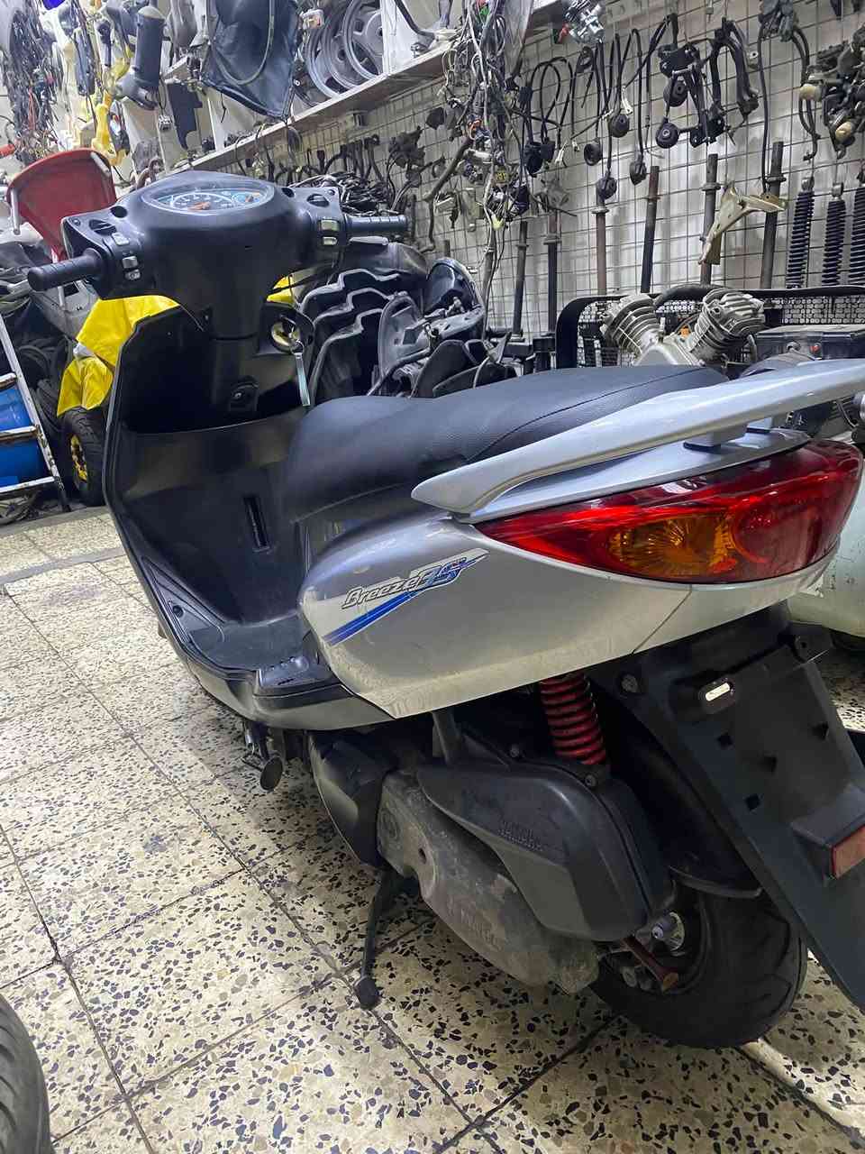 بريز • بغبغاء • كفاله عامه