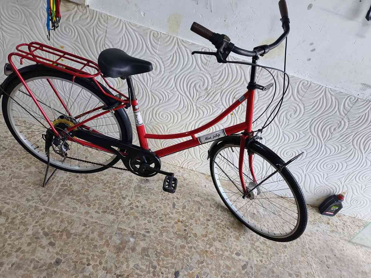 باسكال • مقاس ٢٦ • موديل ٢٠١٩
