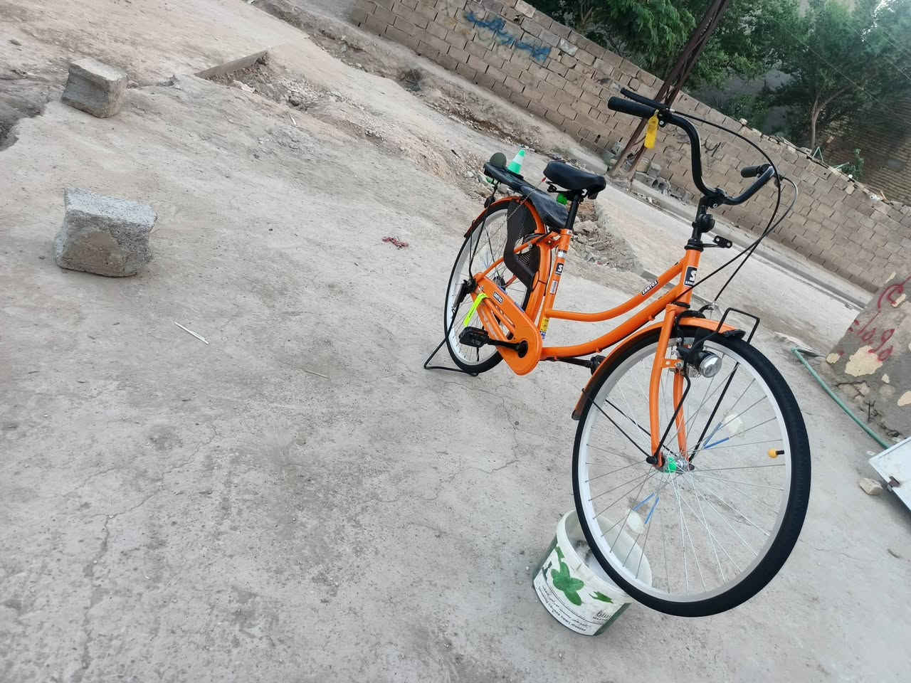مراوس • بيجي • خاص