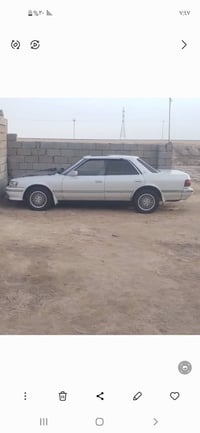 شيزر كصيف • ١٩٩٢ • رقم بصرة