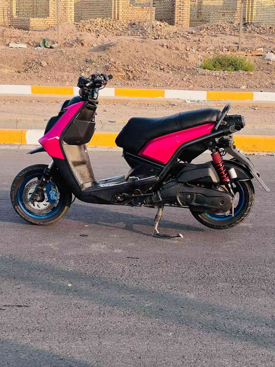 سكنس جبلي • اوراق