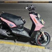 سكنس جبلي • موديل ١٦ • اوراق كمرك