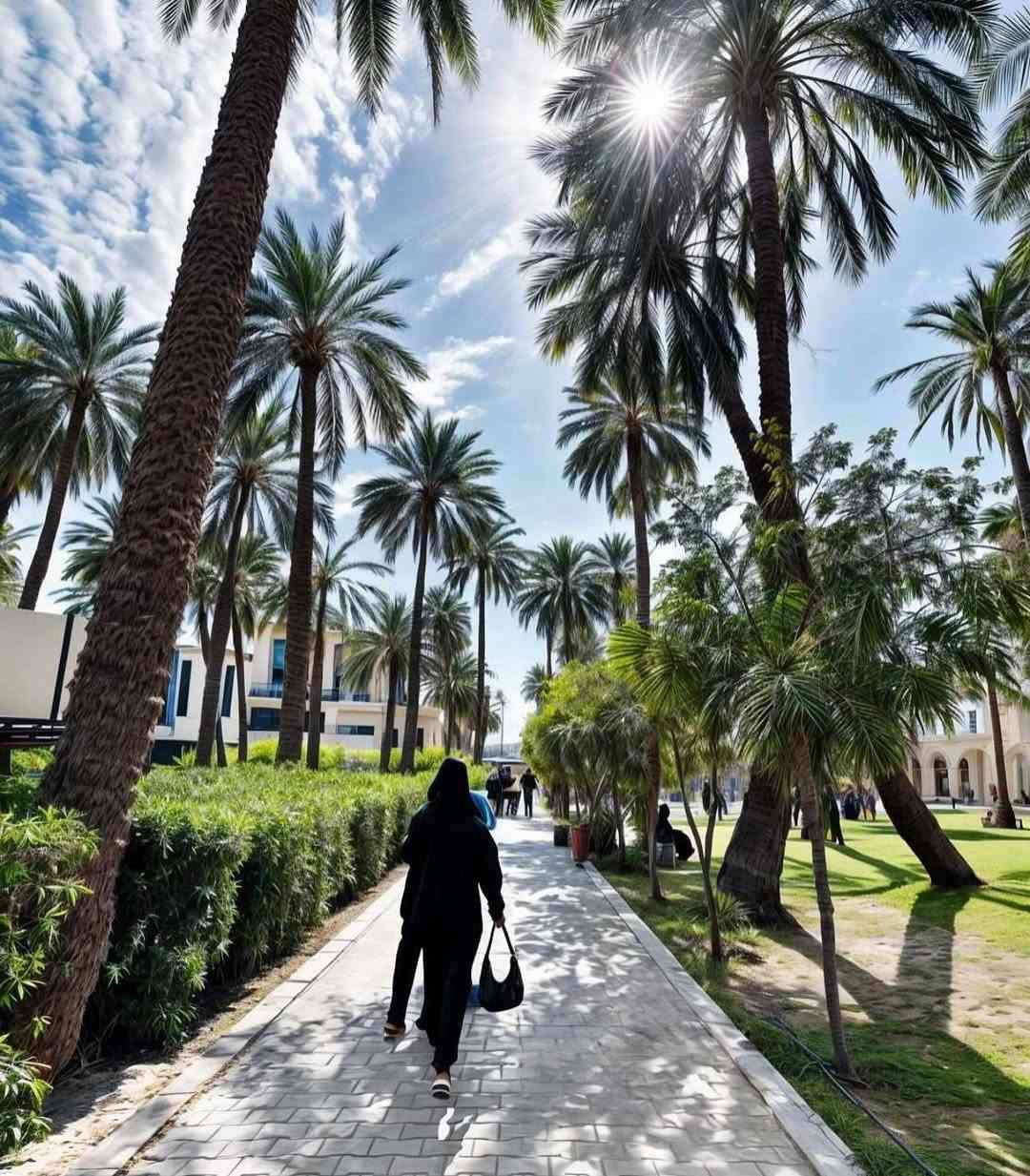 تسجيل • جامعة الفراهيدي • بالخدمة