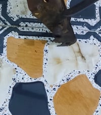 شاصي • بدون بدي • هاي طاكه