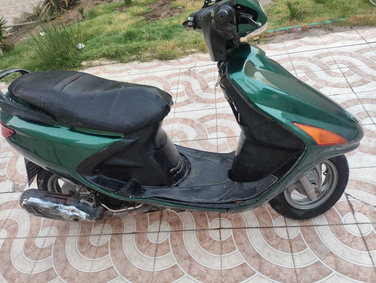 دراجه لبيع مفتوحه بس مره واحده دراجه حلو بس كلج الوره تعبان السعر 300بيه مجال مكاني تنومه نهر حسن رقم ***********
