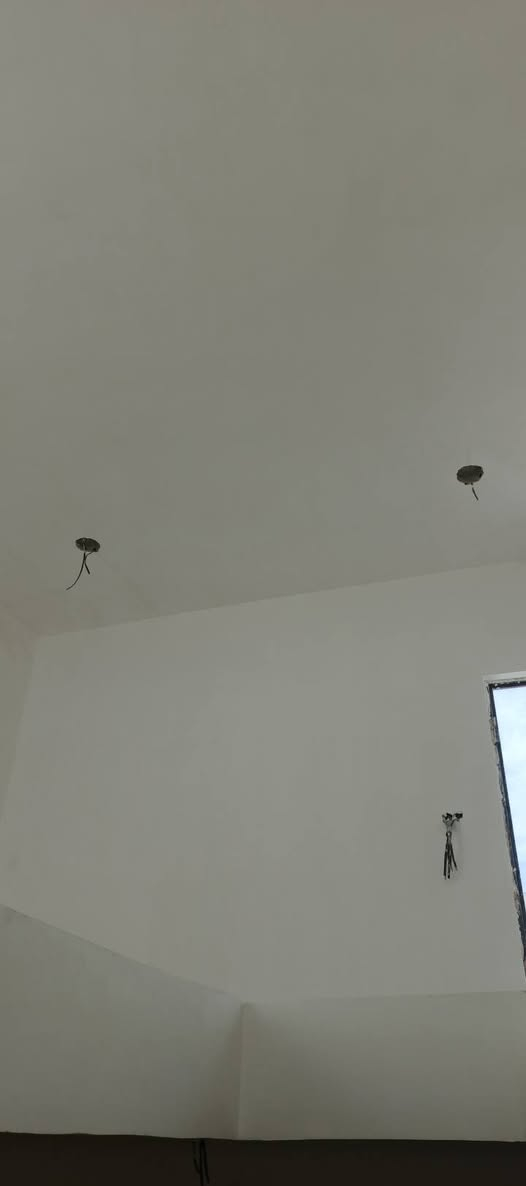 لبخ سمنت وجص وبورك***********
نبات بنفس الموقع
