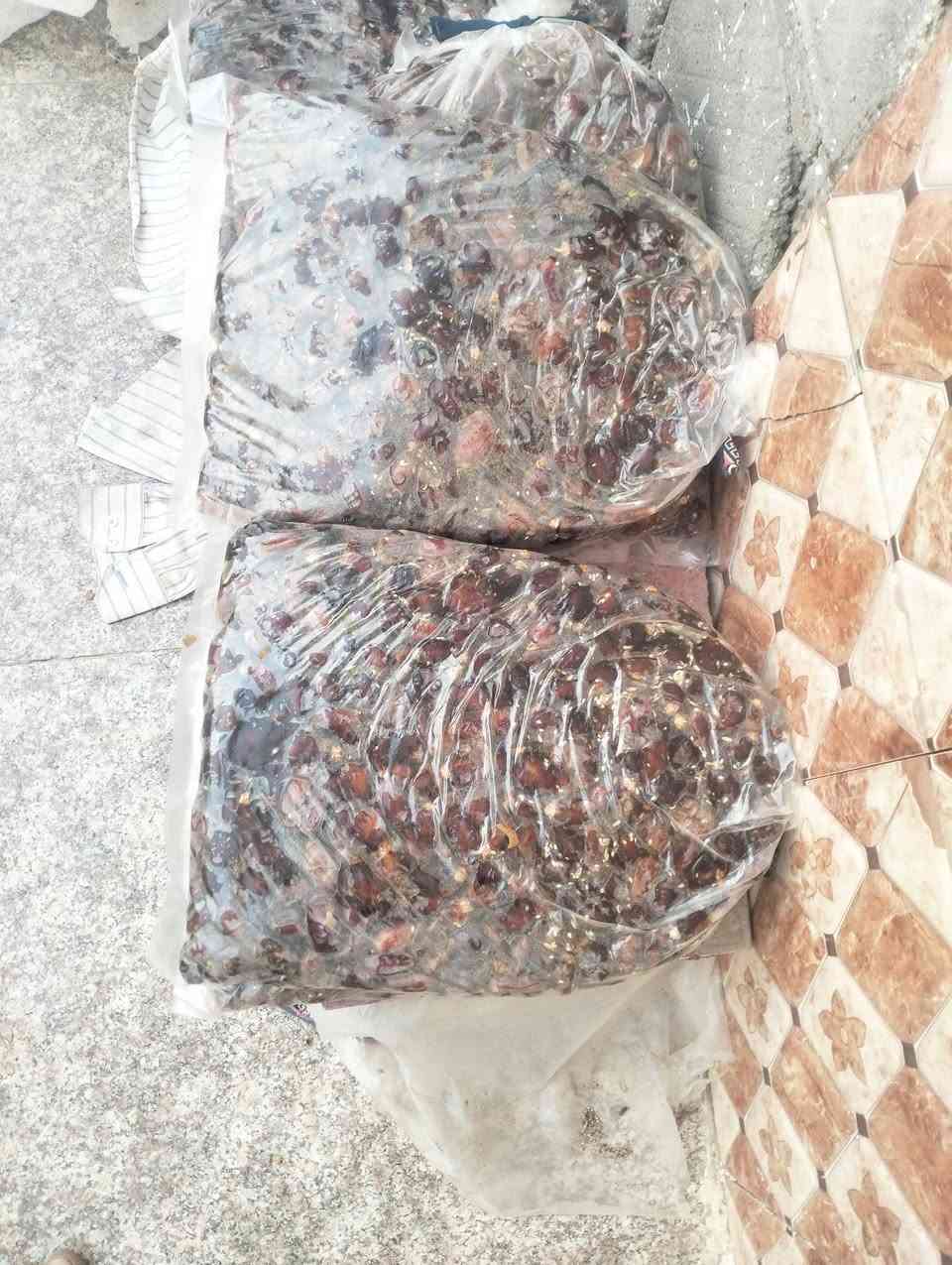 تمر • خضراوي • كنطار