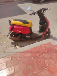 بطه • منغولي • معدل فول