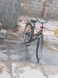 مطلوب بايسكل • نضيف • الديوانية