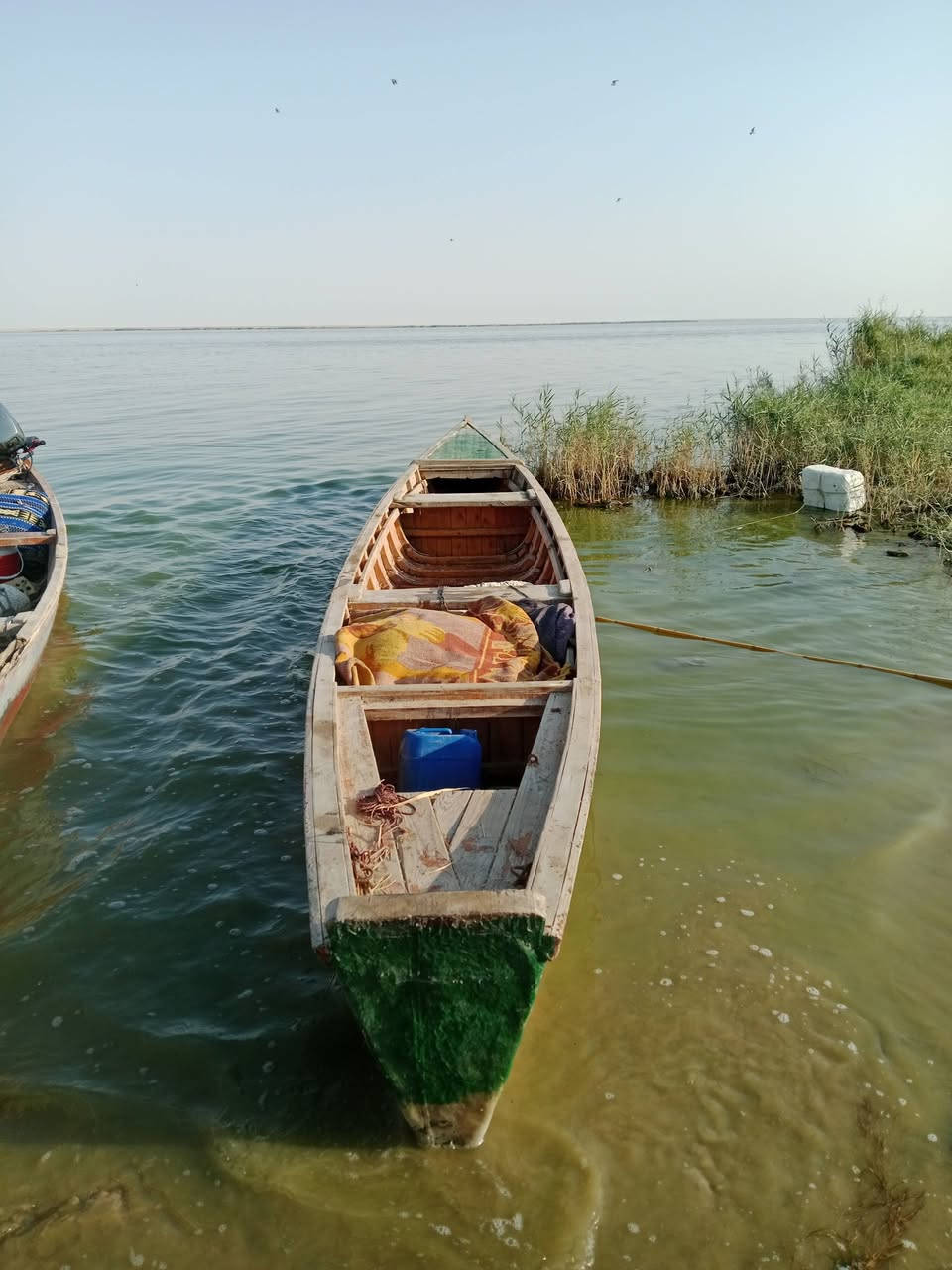 بلم نضيف لبيع الحجم/16/اذراع /السعر//750//الف وبية مجال قليل//***********//
