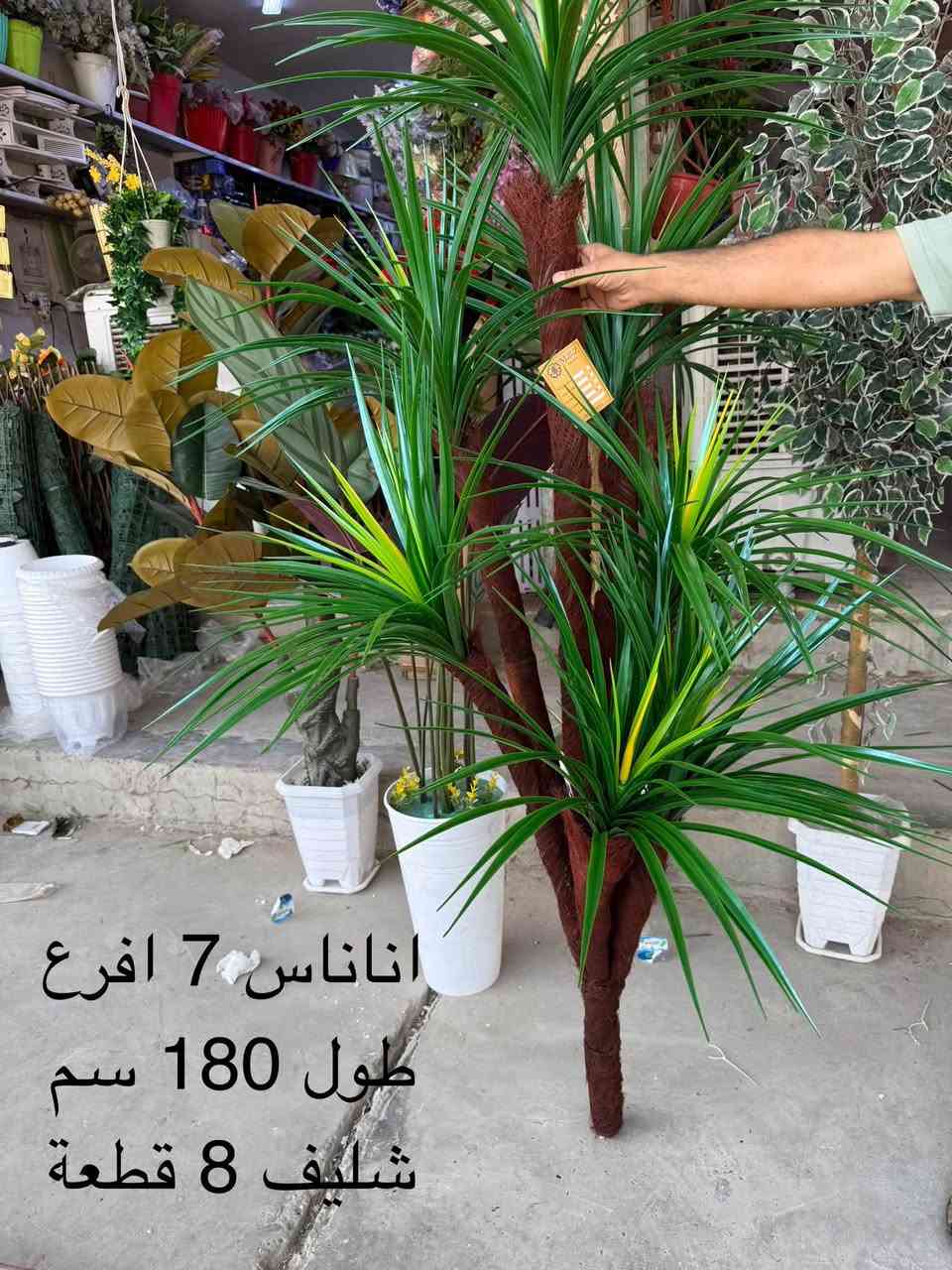 الاناناس ال3 افرع وال5 افرع وال7 افرع 
متوفر بانواعة جملة  
متوفر ايضا  جميع انواع الاشجار الصناعية والورود ايضا
عنواننا : الوزيرية الصناعية مجمع معمل الخياطة محلات رقم 59-60-61
ومتوفر توصيل ونقليات الى جميع المحافظات واتس اب :
***********

نص مكتوب في الصور:
- أناناس 3 فرع طول 160 سم شليف 18 قطعة
- اناناس 5 افرع
- طول 160 سم
- شليف 12 قطعة
- اناناس 7 افرع
- طول 180 سم
- شليف 8 قطعة