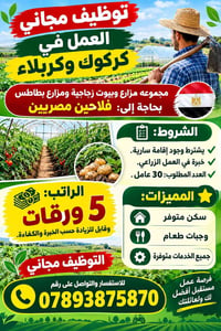 توظيف مجاني • فلاحين مصريين • كركوك وكربلاء