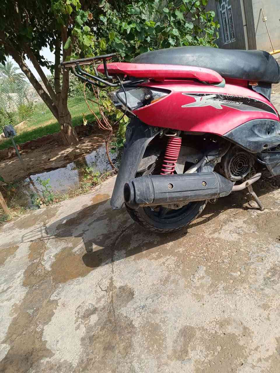 سكنس • ياباني • ١٤٠
