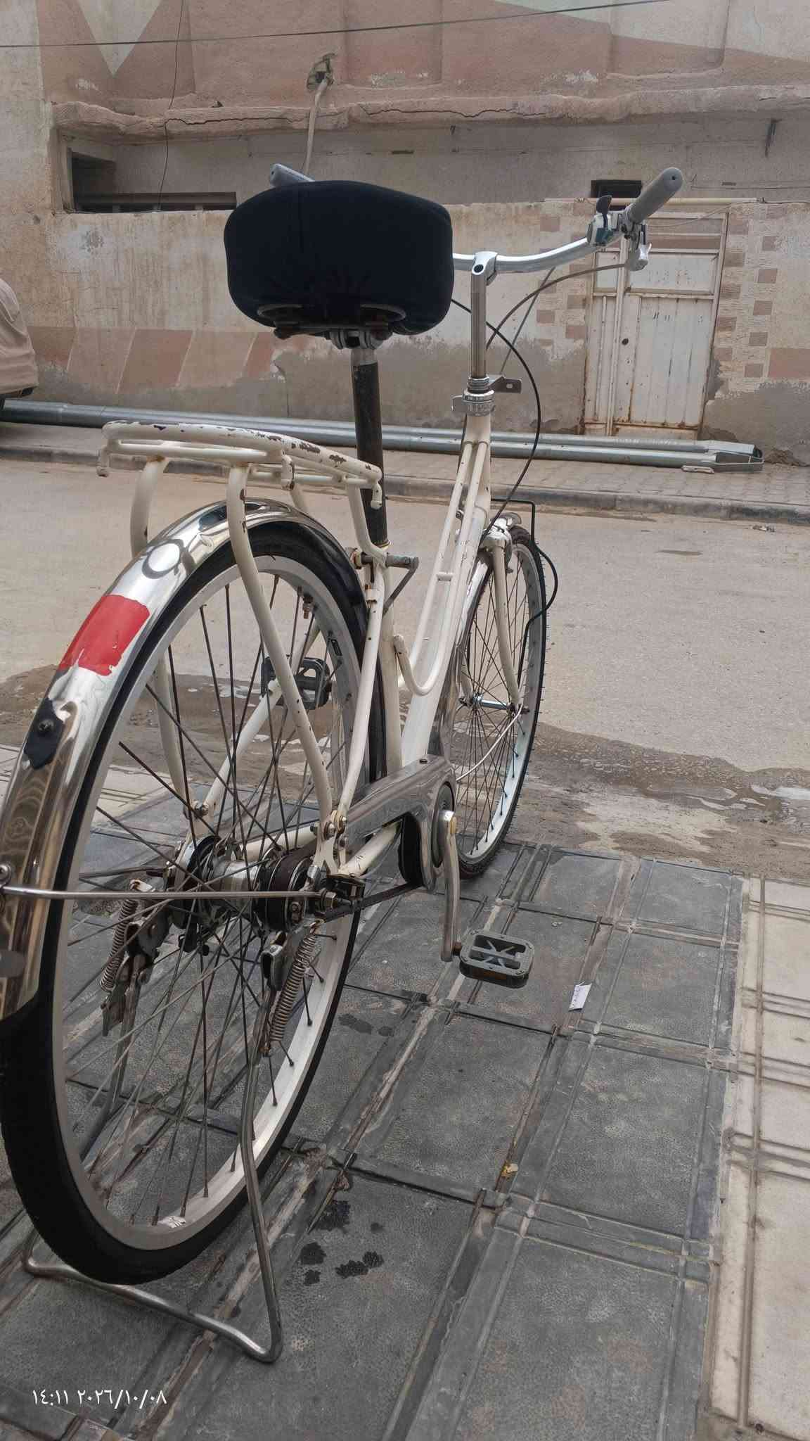 باسكل • نضيف • نجف مشخاب