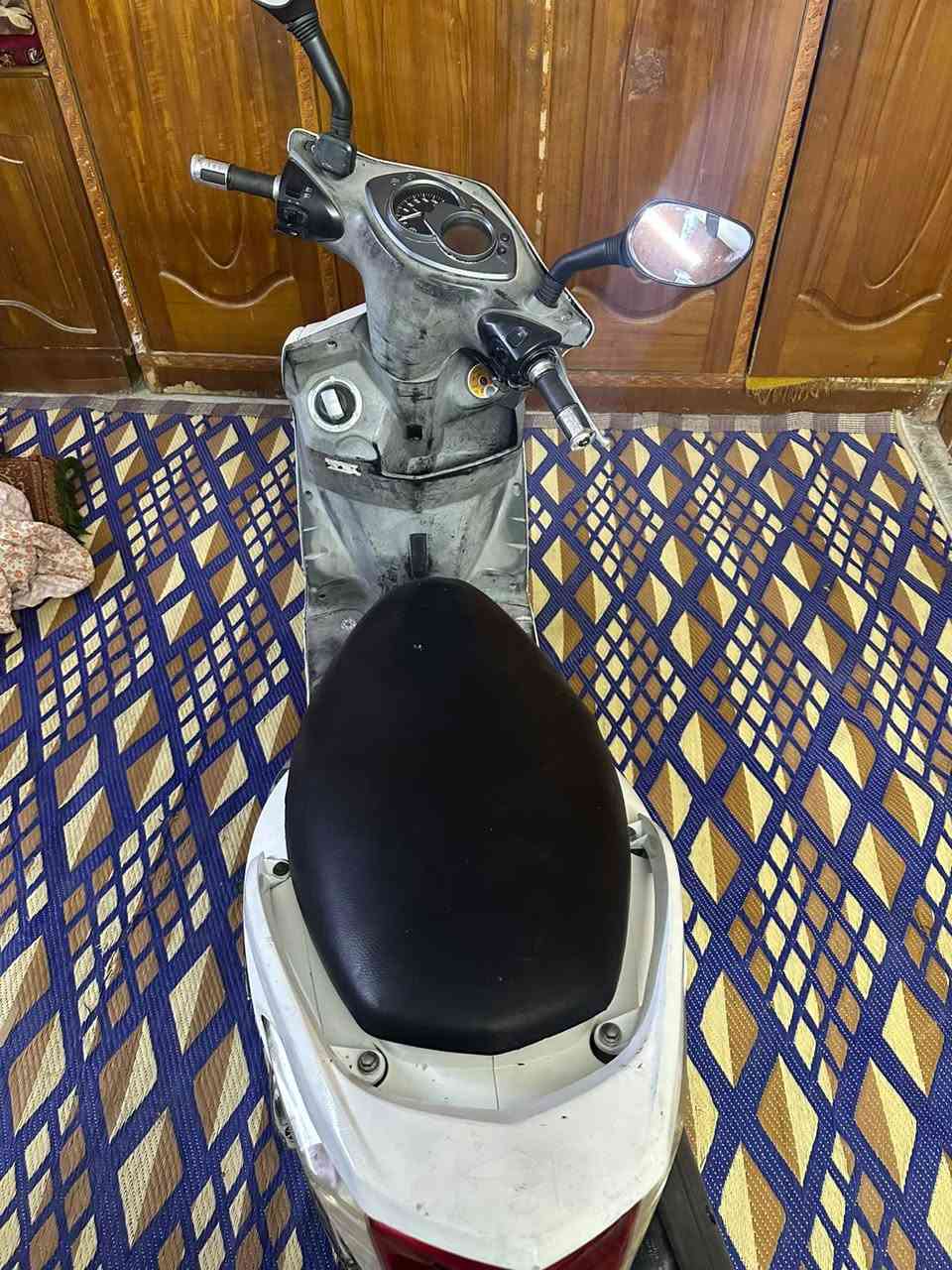 سكنس فحل • ياباني • كفاله عامه