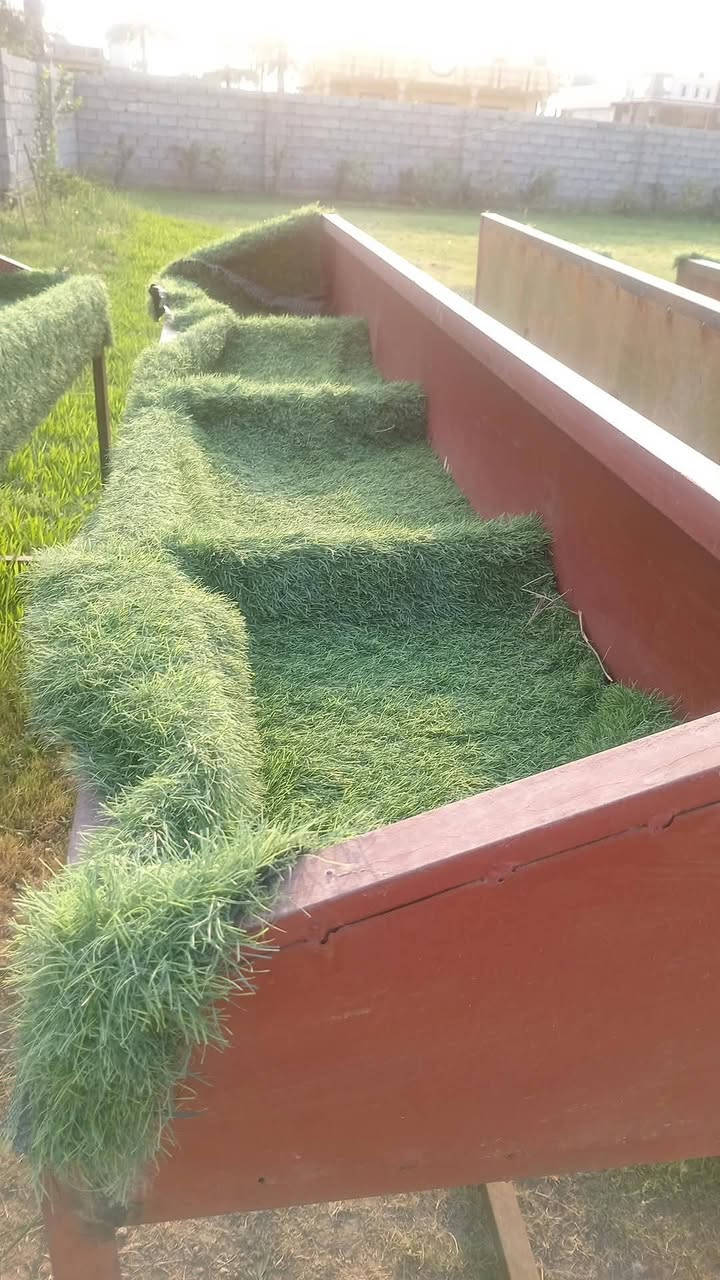 ارفوف • ٦قطع • للوزن الثقيل