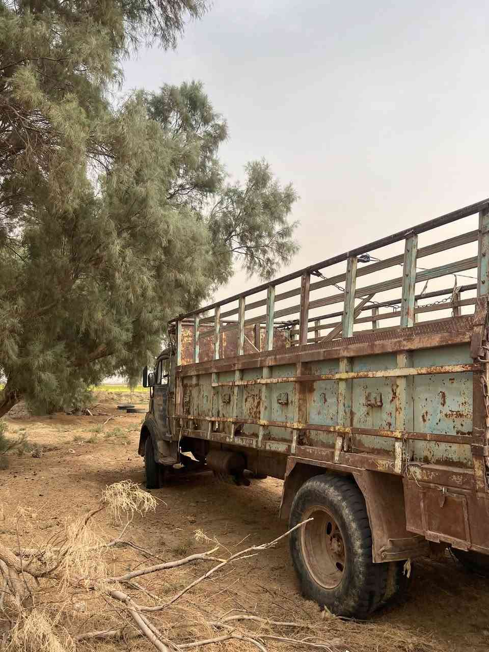 حصنيه • موديل ١٩٦٠