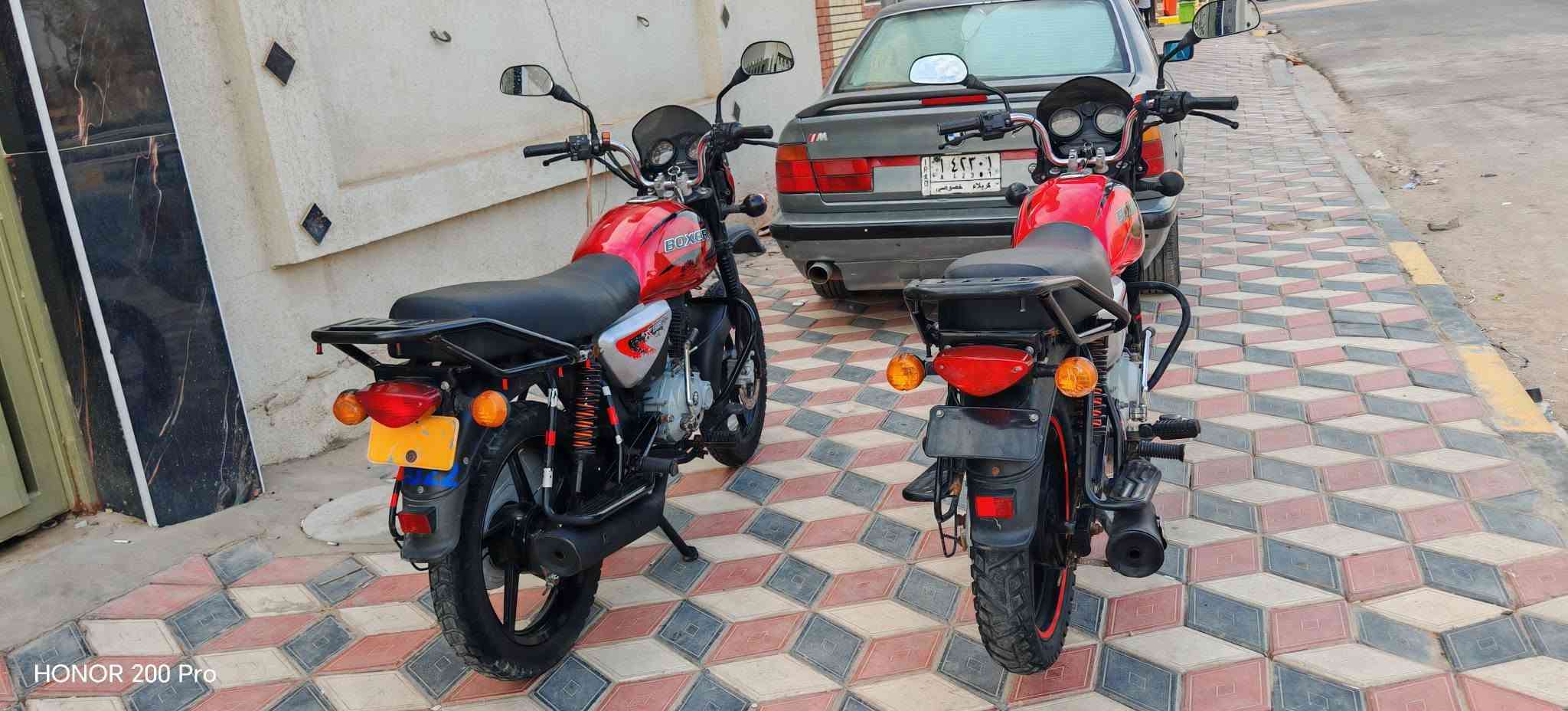 بوكسر ٢ • ٢٠٢٢ • اوراق بسمي
