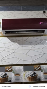 سبلت جنيرال • شرط للفحص • القرنة الشرش