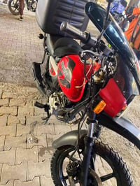 بوكسر • ٢٢ • بدون أوراق