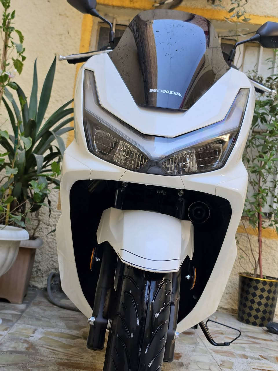 PCX جيل خامس • ماشيه ٣٠٠٠ • درع تايوان