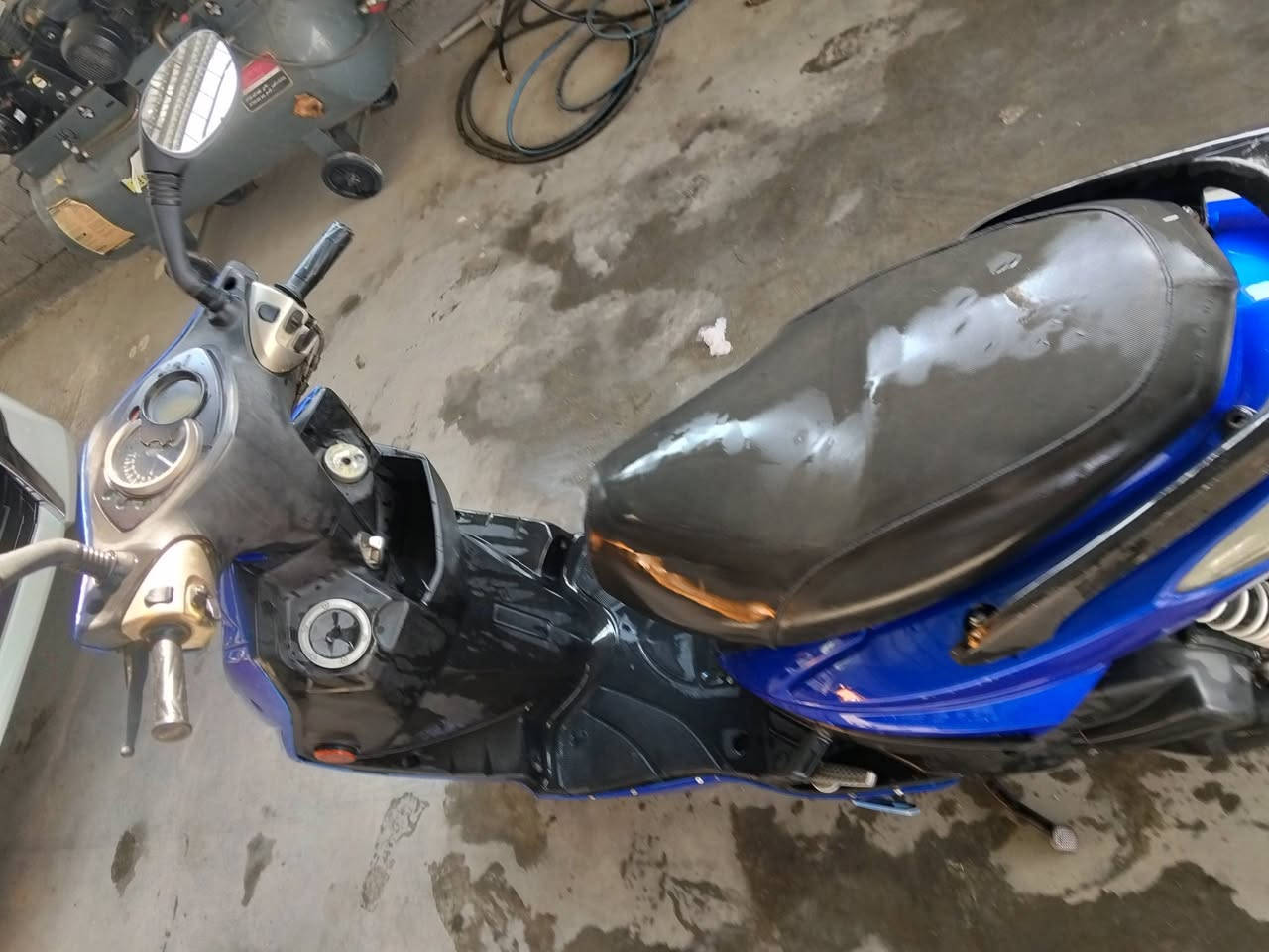 سكنس فحل • ياباني • شحن